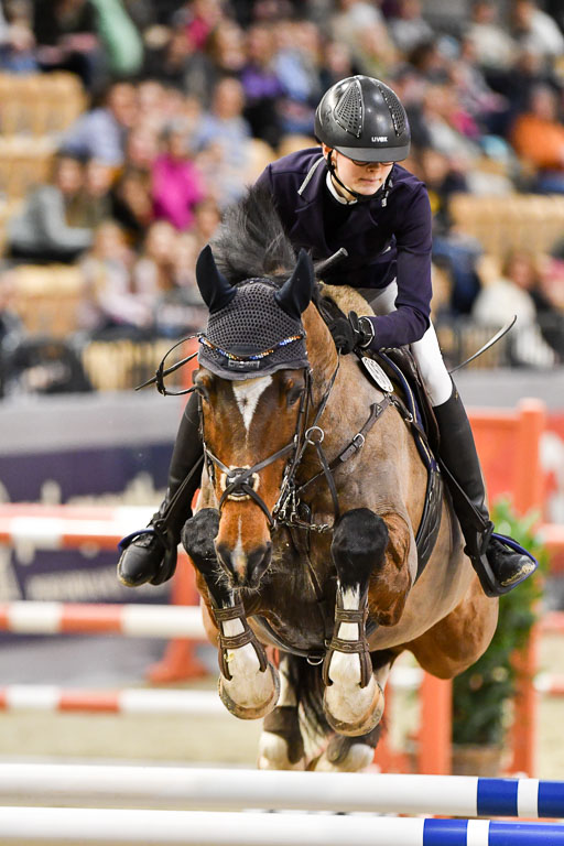 VR Classics Neumünster 2024 | 15022024 - M Springen Pfg 18 _043 