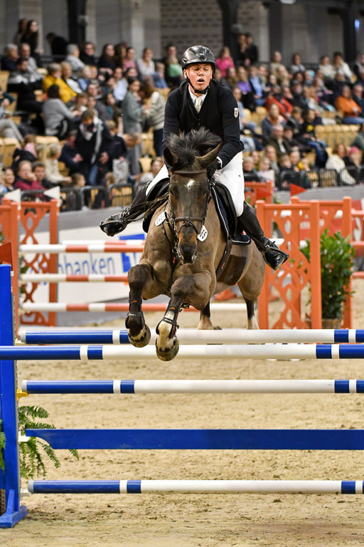 VR Classics Neumünster 2024 | 15022024 - M Springen Pfg 18 _049 