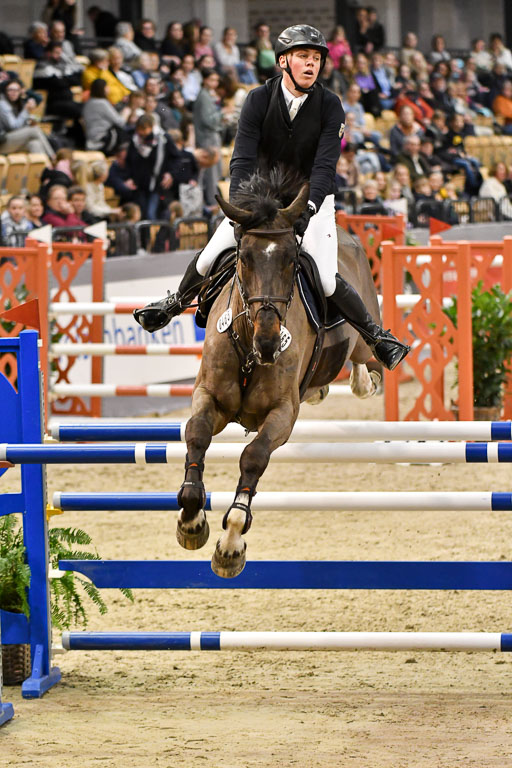 VR Classics Neumünster 2024 | 15022024 - M Springen Pfg 18 _050 