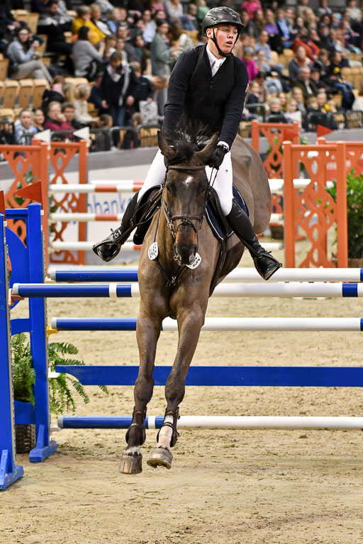 VR Classics Neumünster 2024 | 15022024 - M Springen Pfg 18 _051 