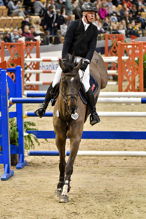 VR Classics Neumünster 2024 | 15022024 - M Springen Pfg 18 _052 