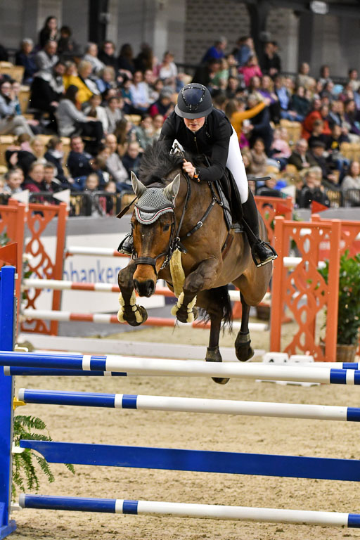 VR Classics Neumünster 2024 | 15022024 - M Springen Pfg 18 _063 