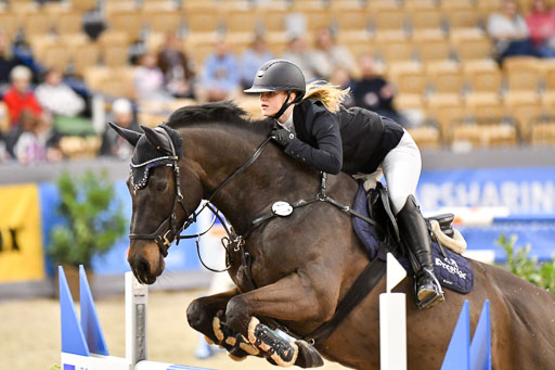 VR Classics Neumünster 2024 | 15022024 - M Springen Pfg 18 _065 