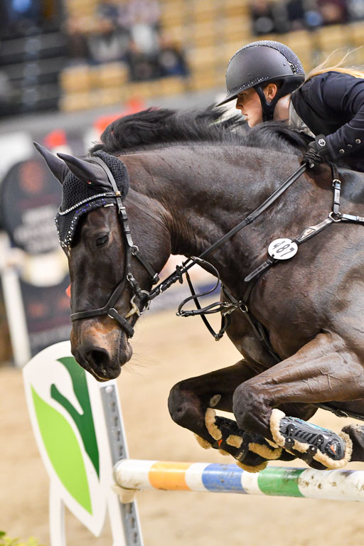 VR Classics Neumünster 2024 | 15022024 - M Springen Pfg 18 _069 