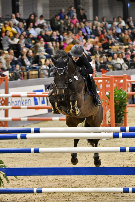 VR Classics Neumünster 2024 | 15022024 - M Springen Pfg 18 _070 