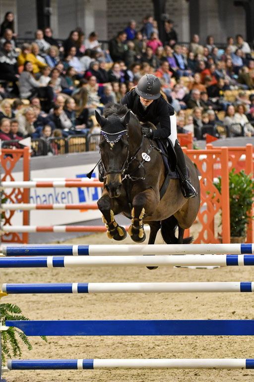 VR Classics Neumünster 2024 | 15022024 - M Springen Pfg 18 _071 