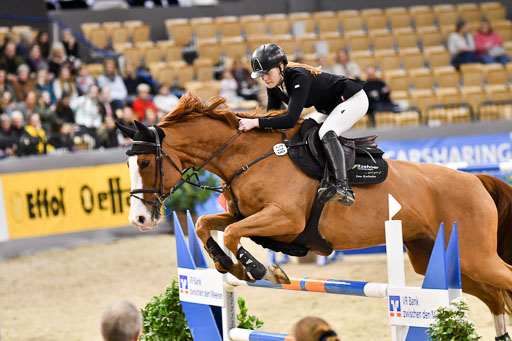 VR Classics Neumünster 2024 | 15022024 - M Springen Pfg 18 _079 