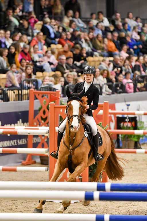 VR Classics Neumünster 2024 | 15022024 - M Springen Pfg 18 _083 