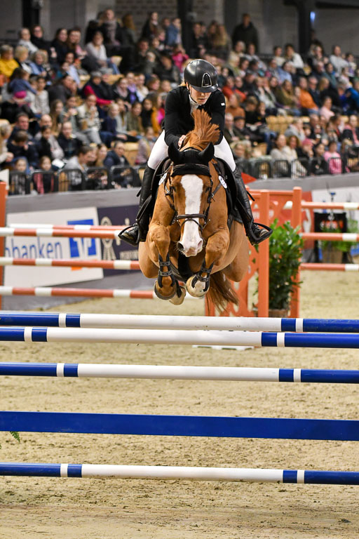 VR Classics Neumünster 2024 | 15022024 - M Springen Pfg 18 _084 