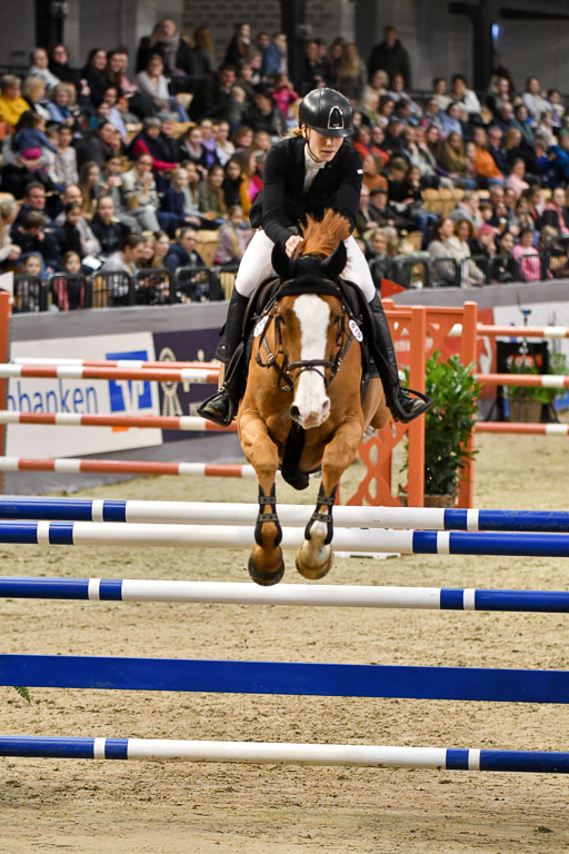 VR Classics Neumünster 2024 | 15022024 - M Springen Pfg 18 _085 