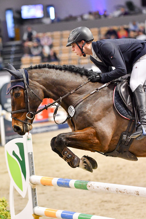 VR Classics Neumünster 2024 | 15022024 - M Springen Pfg 18 _100 