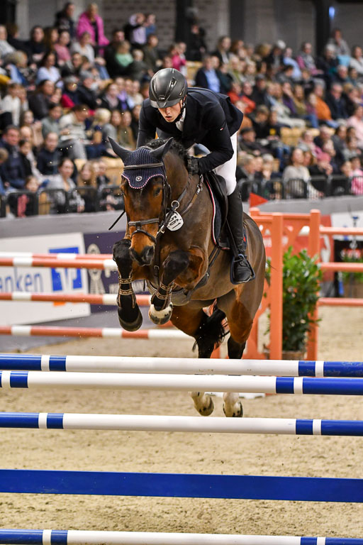 VR Classics Neumünster 2024 | 15022024 - M Springen Pfg 18 _101 