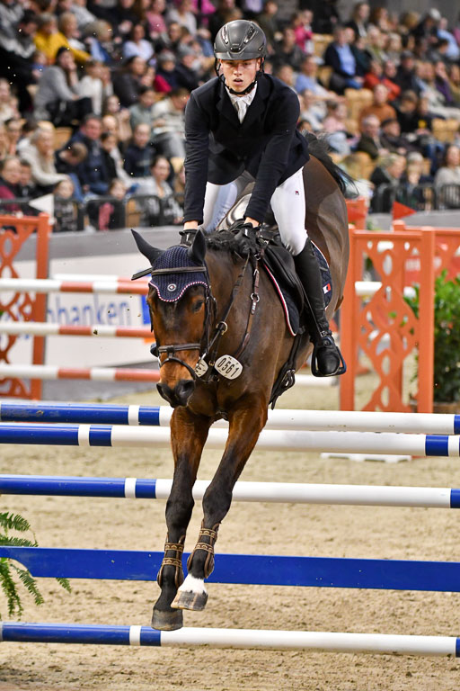 VR Classics Neumünster 2024 | 15022024 - M Springen Pfg 18 _102 