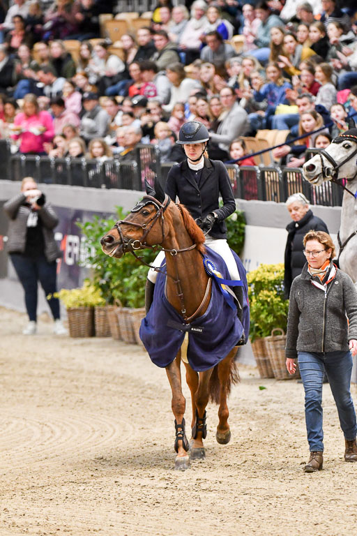 VR Classics Neumünster 2024 | 15022024 - M Springen Pfg 18 _106 