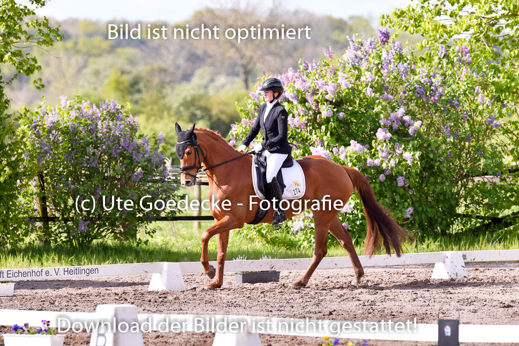 Warmeloh PLS | 20042024 Kombi Dressur_37