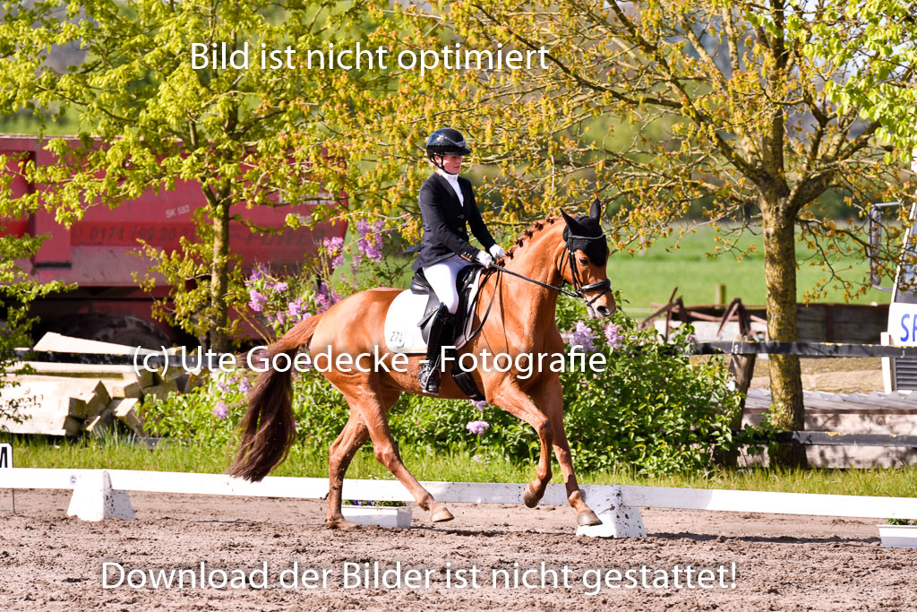 Warmeloh PLS | 20042024 Kombi Dressur_39