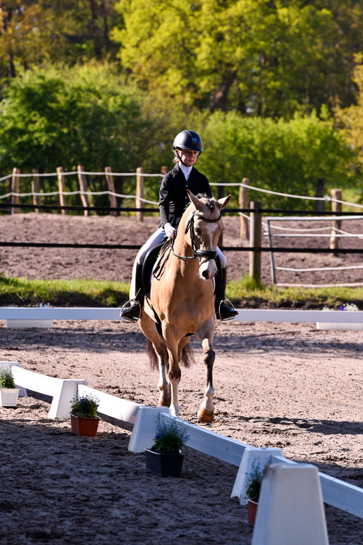 Warmeloh PLS | 20042024 Kombi Dressur_01 