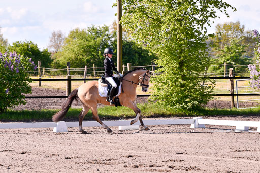 Warmeloh PLS | 20042024 Kombi Dressur_02 