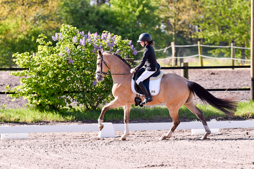 Warmeloh PLS | 20042024 Kombi Dressur_04 