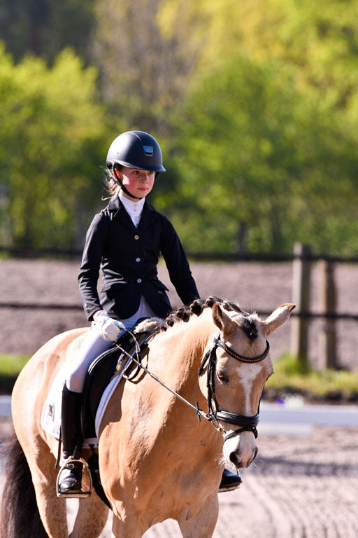 Warmeloh PLS | 20042024 Kombi Dressur_06 