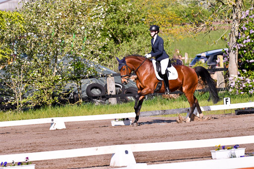 Warmeloh PLS | 20042024 Kombi Dressur_18 