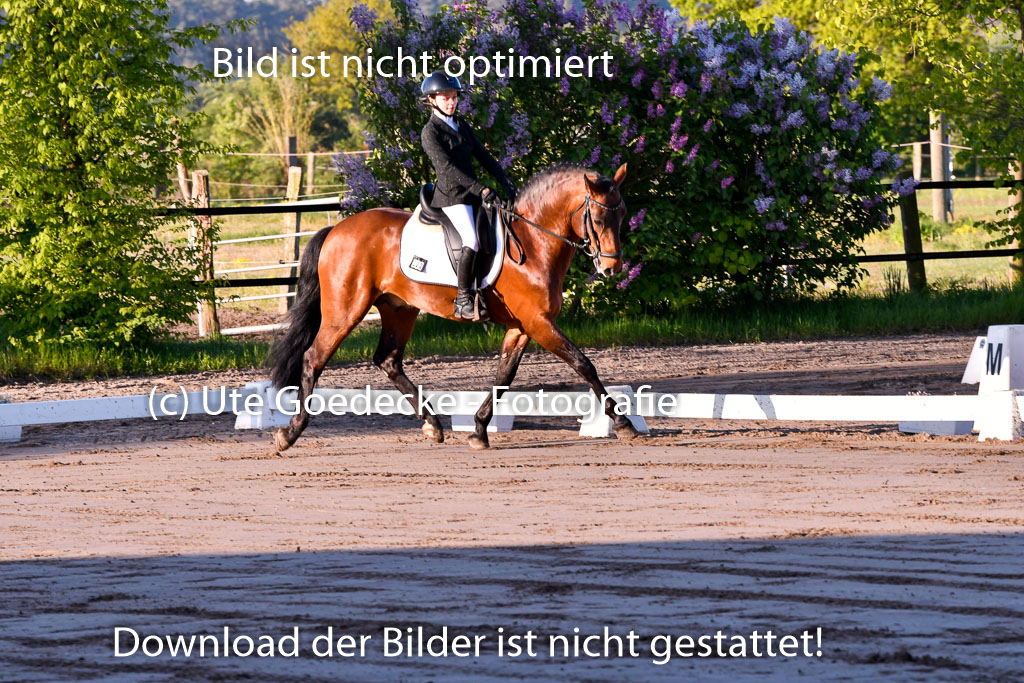 Warmeloh PLS 21.4.24 | 21042024  Kombi E Dressur _01 