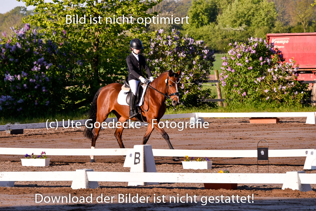 Warmeloh PLS 21.4.24 | 21042024  Kombi E Dressur _13 