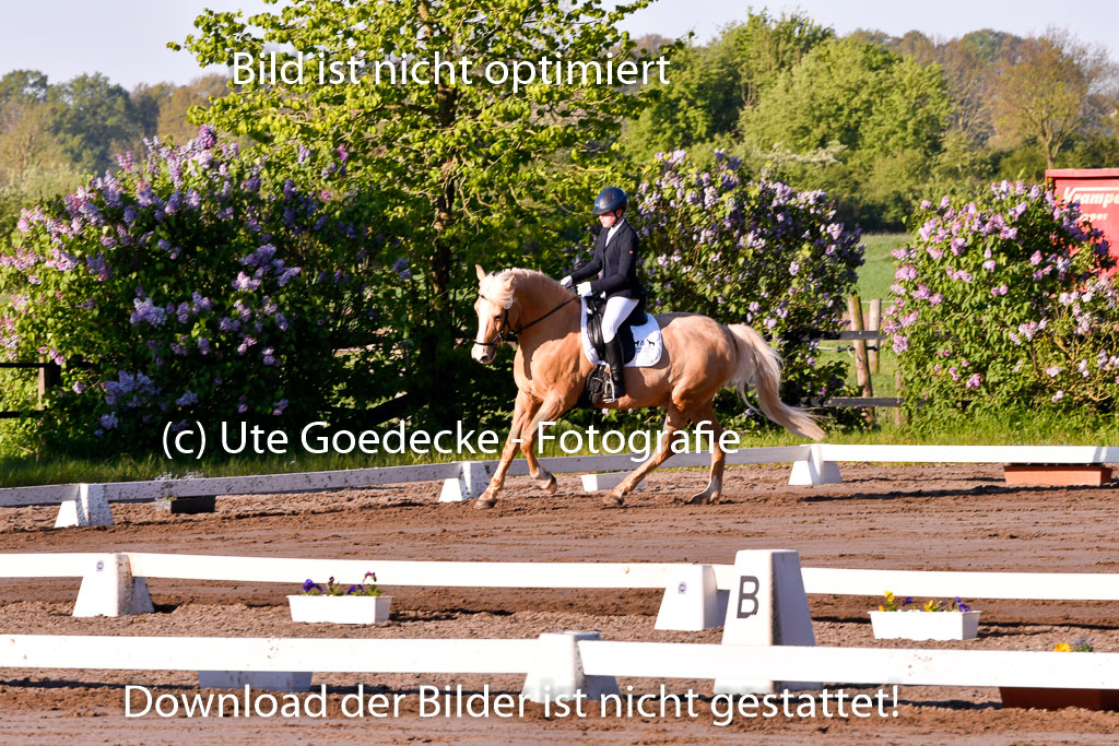 Warmeloh PLS 21.4.24 | 21042024  Kombi E Dressur _22 