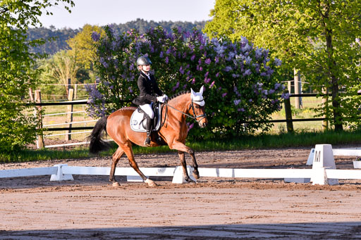 Warmeloh PLS 21.4.24 | 21042024  Kombi E Dressur _09 