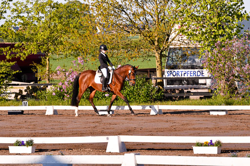 Warmeloh PLS 21.4.24 | 21042024  Kombi E Dressur _12 