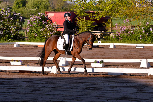 Warmeloh PLS 21.4.24 | 21042024  Kombi E Dressur _14 