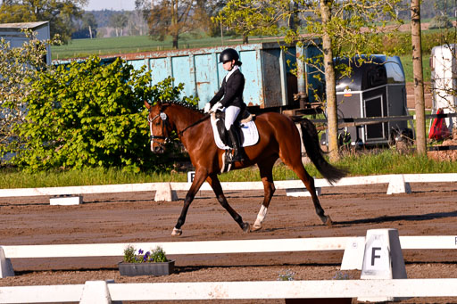 Warmeloh PLS 21.4.24 | 21042024  Kombi E Dressur _16 