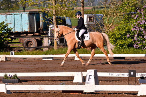 Warmeloh PLS 21.4.24 | 21042024  Kombi E Dressur _19 