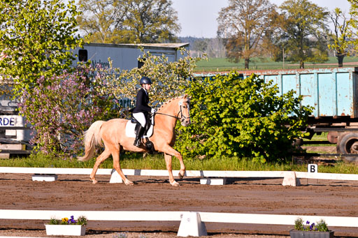 Warmeloh PLS 21.4.24 | 21042024  Kombi E Dressur _21 