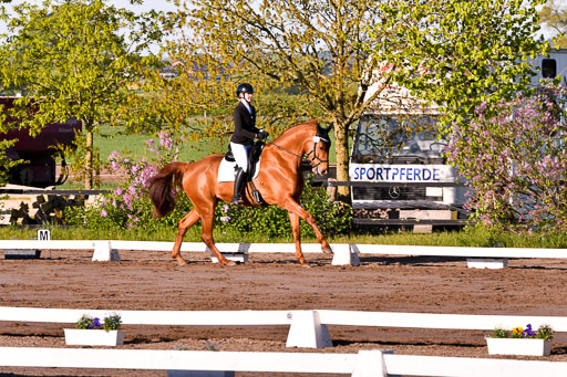 Warmeloh PLS 21.4.24 | 21042024  Kombi E Dressur _27 