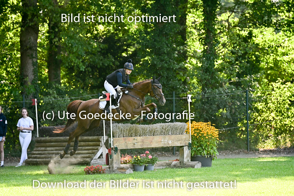 Bundesnachwuchschampionat Vielseitigkeit 2025 | 10082025 Gelände Pferde _0065 