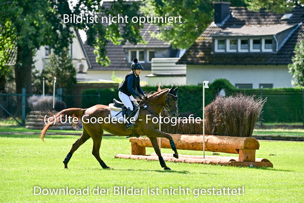 Bundesnachwuchschampionat Vielseitigkeit 2025 | 10082025 Gelände Pferde _0067 