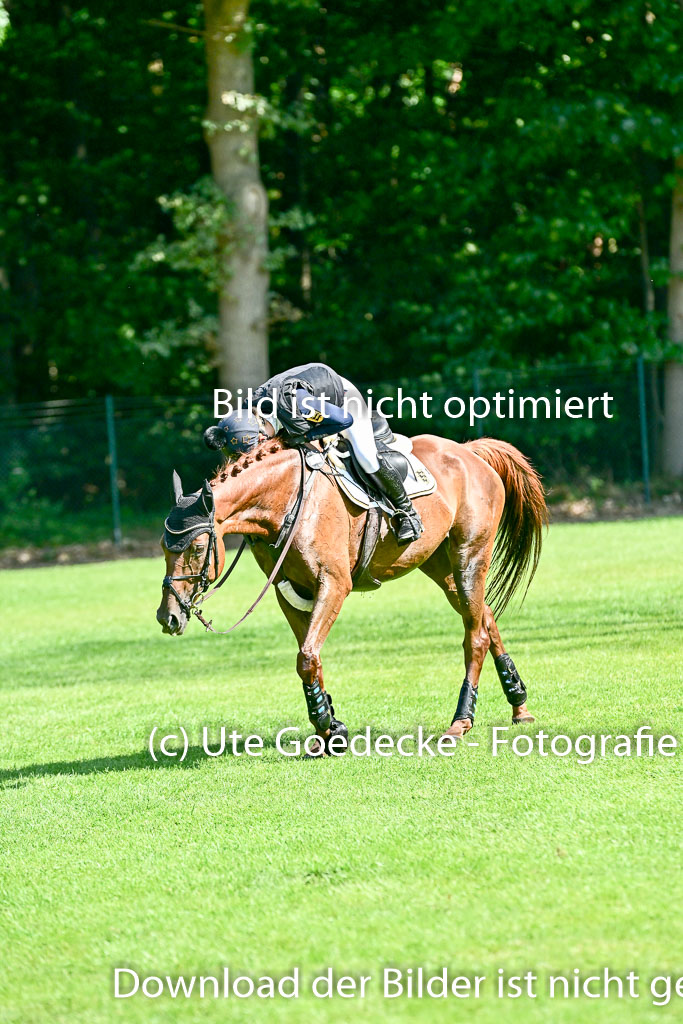 Bundesnachwuchschampionat Vielseitigkeit 2025 | 10082025 Gelände Pferde _0070 