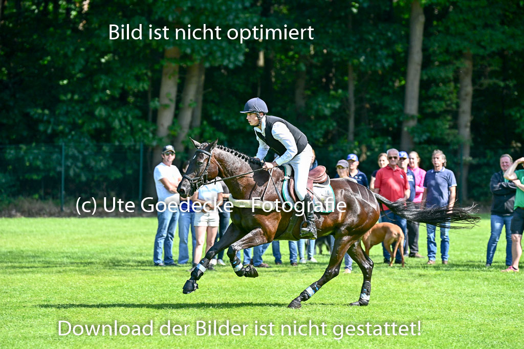 Bundesnachwuchschampionat Vielseitigkeit 2025 | 10082025 Gelände Pferde _0091 