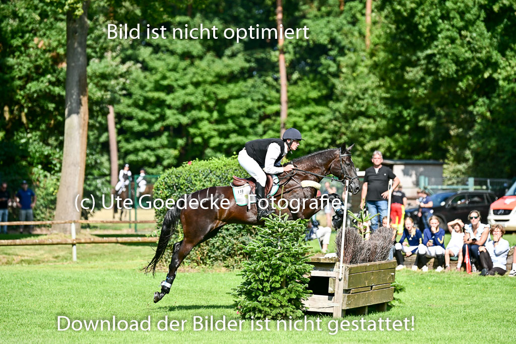 Bundesnachwuchschampionat Vielseitigkeit 2025 | 10082025 Gelände Pferde _0094 