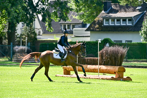 Bundesnachwuchschampionat Vielseitigkeit 2025 | 10082025 Gelände Pferde _0067 