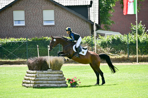 10082025-Gelände-Pferde-_0532.jpg