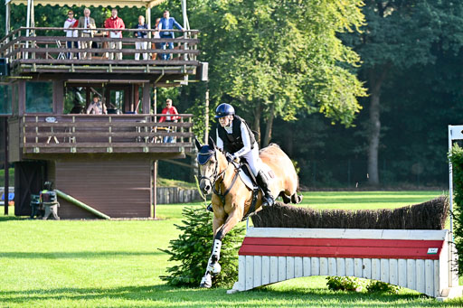 Pony-Gelände-100825-_112.jpg