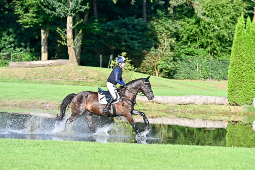 Gelaende Ponys