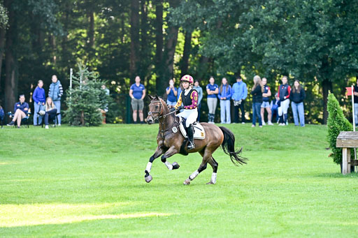 Bundesnachwuchschampionat Vielseitigkeit 2025 | Pony Gelände 100825 _172 