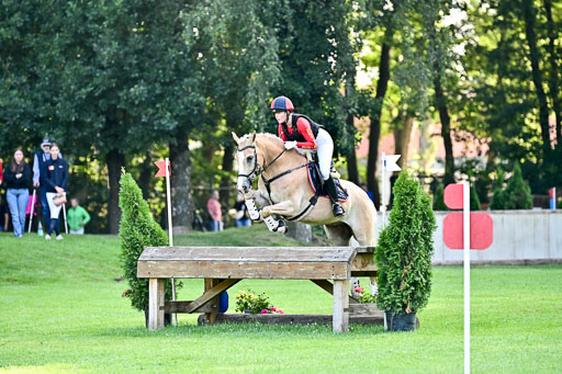 Pony-Gelände-100825-_252.jpg
