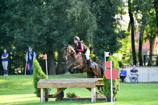 Pony-Gelände-100825-_371.jpg