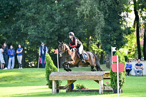 Pony-Gelände-100825-_372.jpg