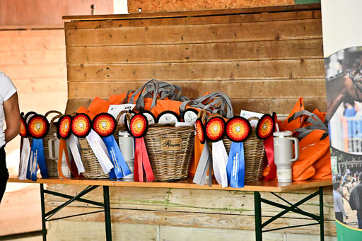 Bundesnachwuchschampionat Vielseitigkeit 2025 | 10082025 Impressionen _064 
