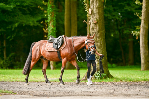 Bundesnachwuchschampionat Vielseitigkeit 2025 | 10082025 Impressionen _097 